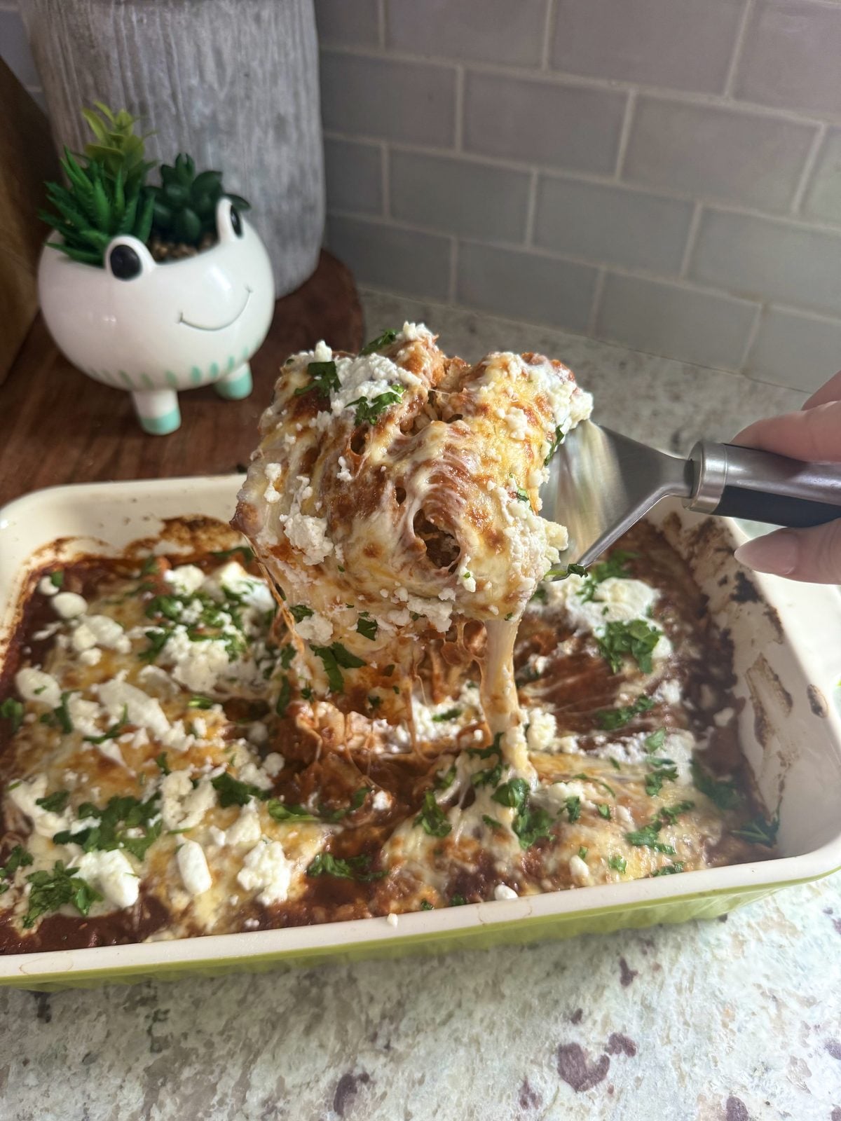 chicken enchiladas