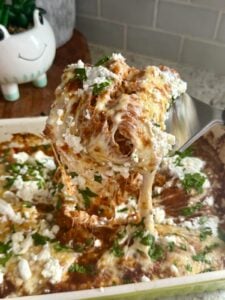 Chicken Enchiladas with Homemade Enchilada Sauce