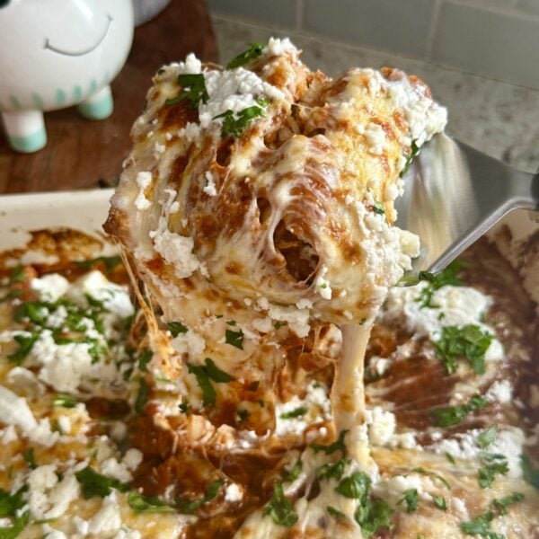 chicken enchiladas