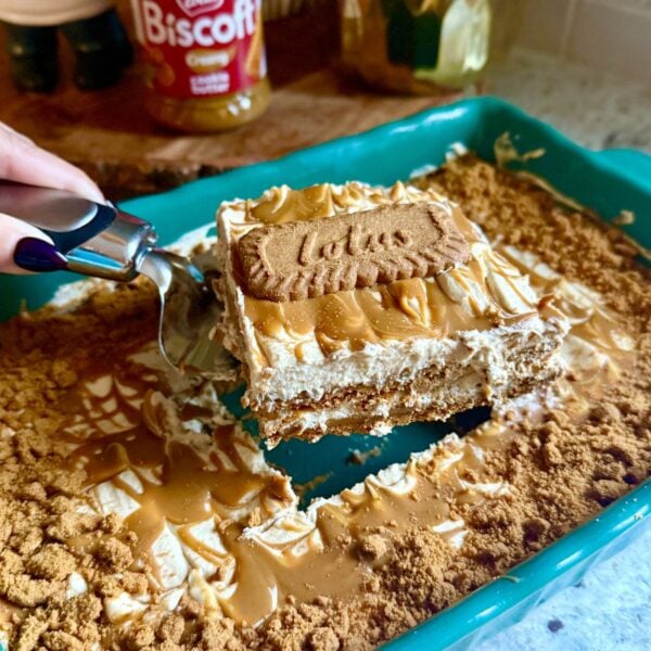 no bake biscoff lasagne
