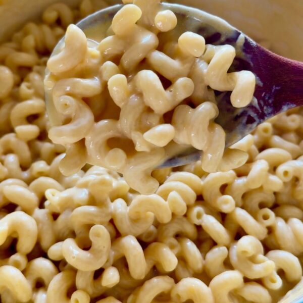 One pan creamy macaroni and cheese