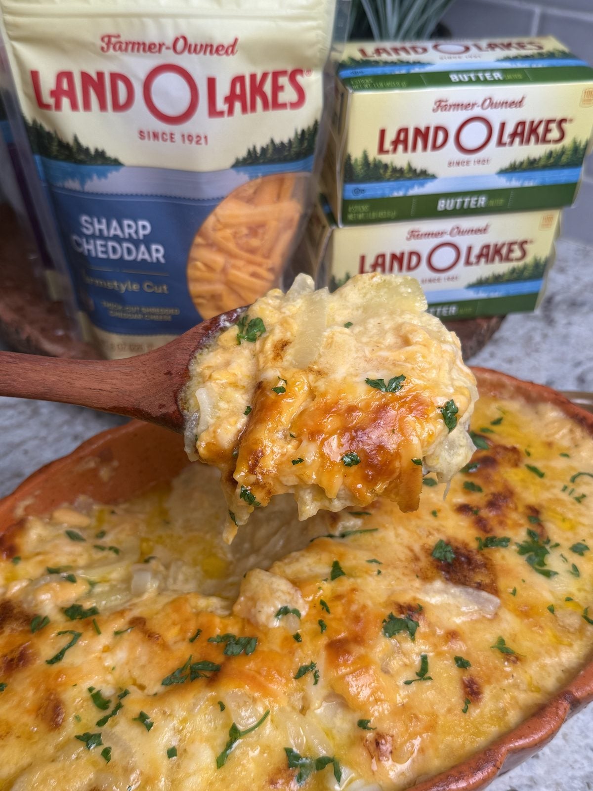 scalloped potatoes
