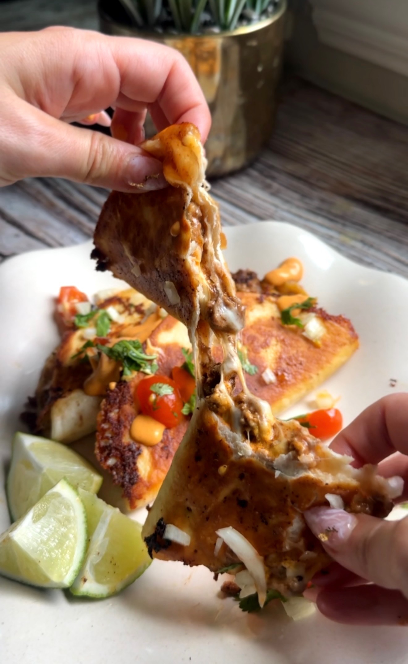 Crispy beef taco pulled apart to show melted cheese, topped with chipotle sauce, tomatoes and cilantro
