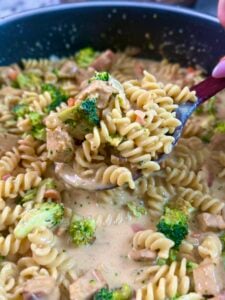 Broccoli Cheddar Soup with Chicken Pasta