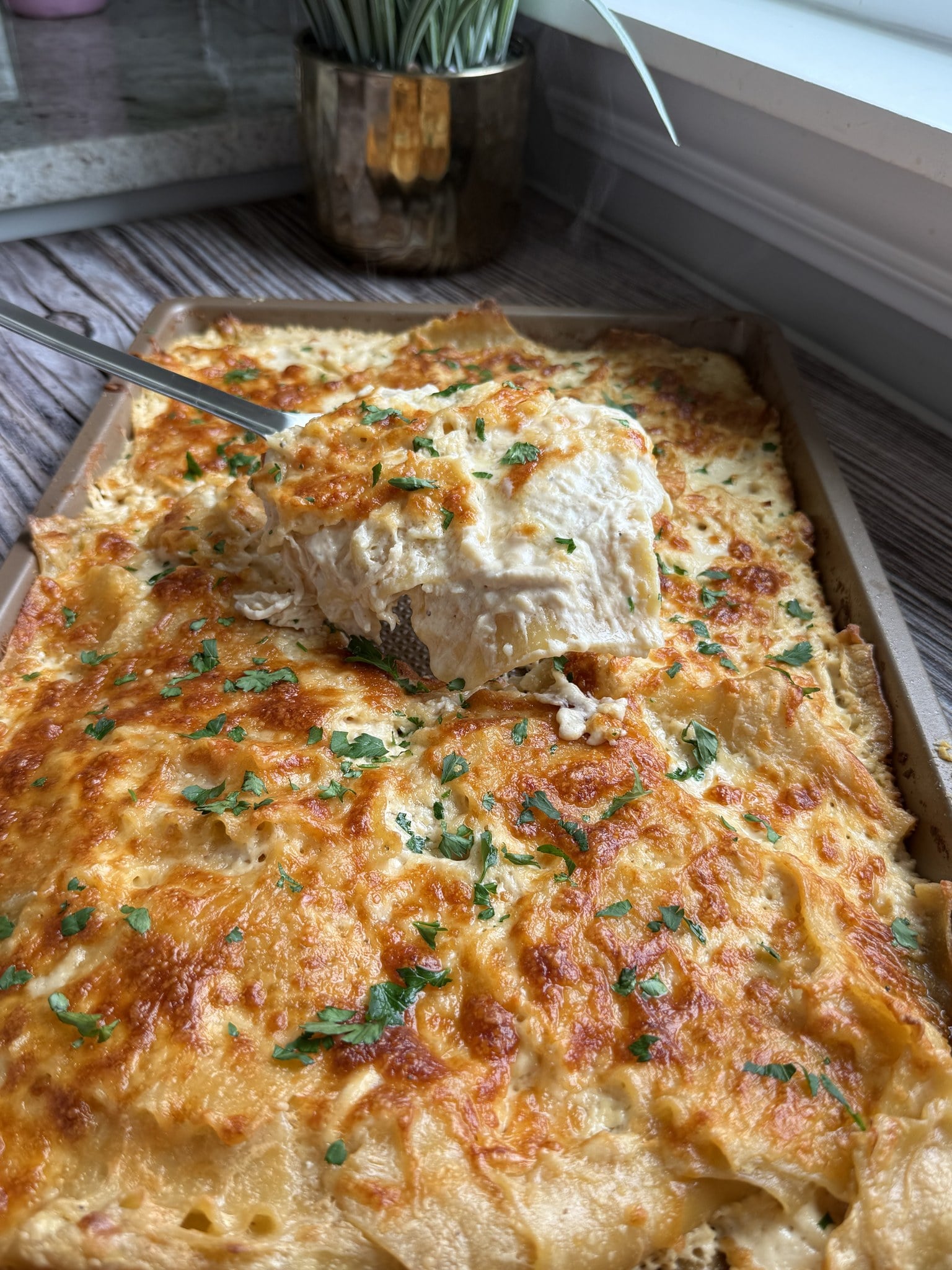 Sheet Pan Chicken Alfredo Lasagna
