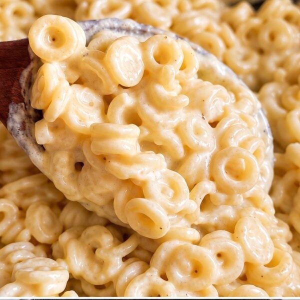 Wooden spoon lifting a heap of ring pasta coated in creamy alfredo sauce