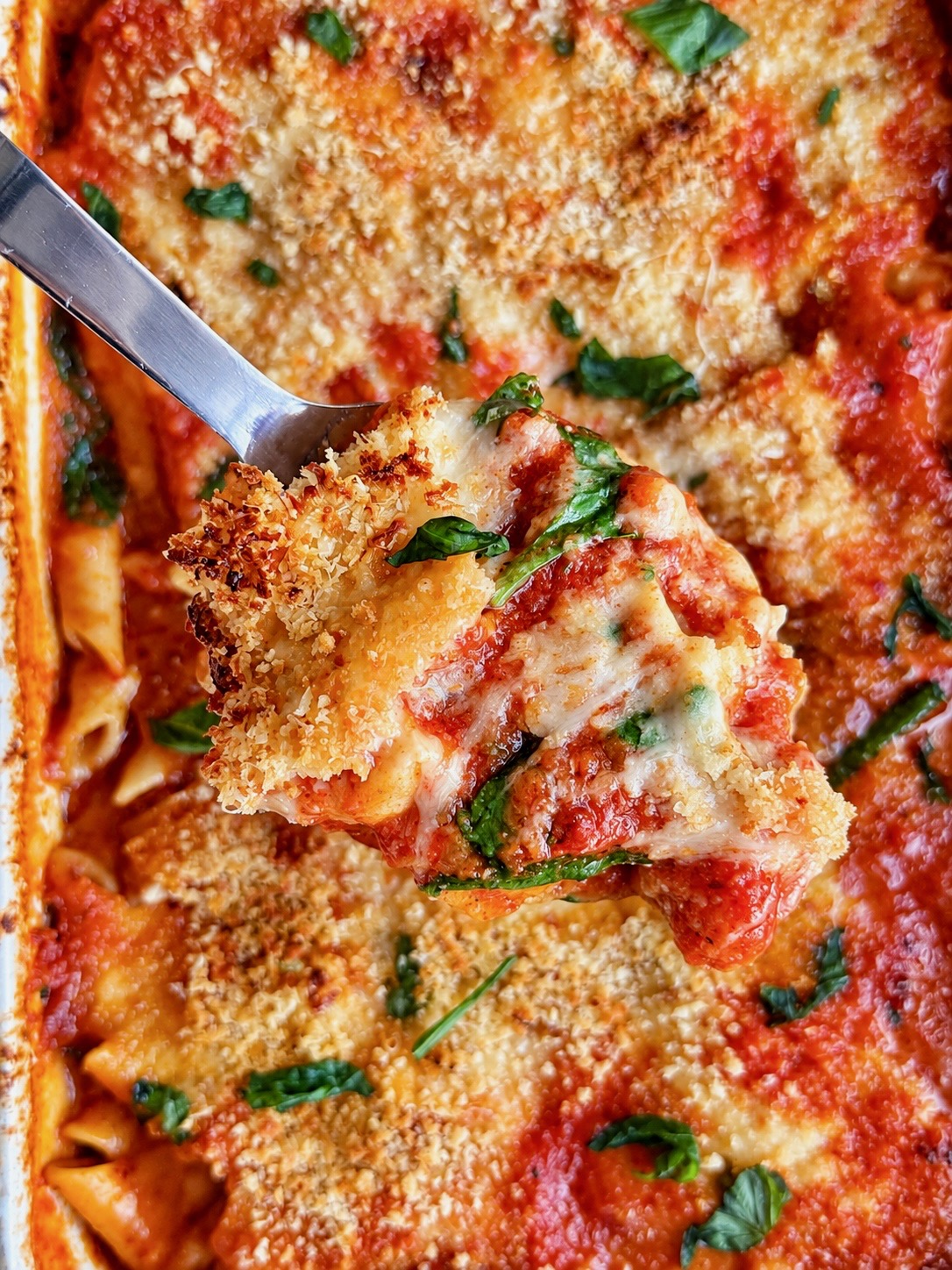 Server lifting chicken parmesan casserole with golden breadcrumb topping and basil